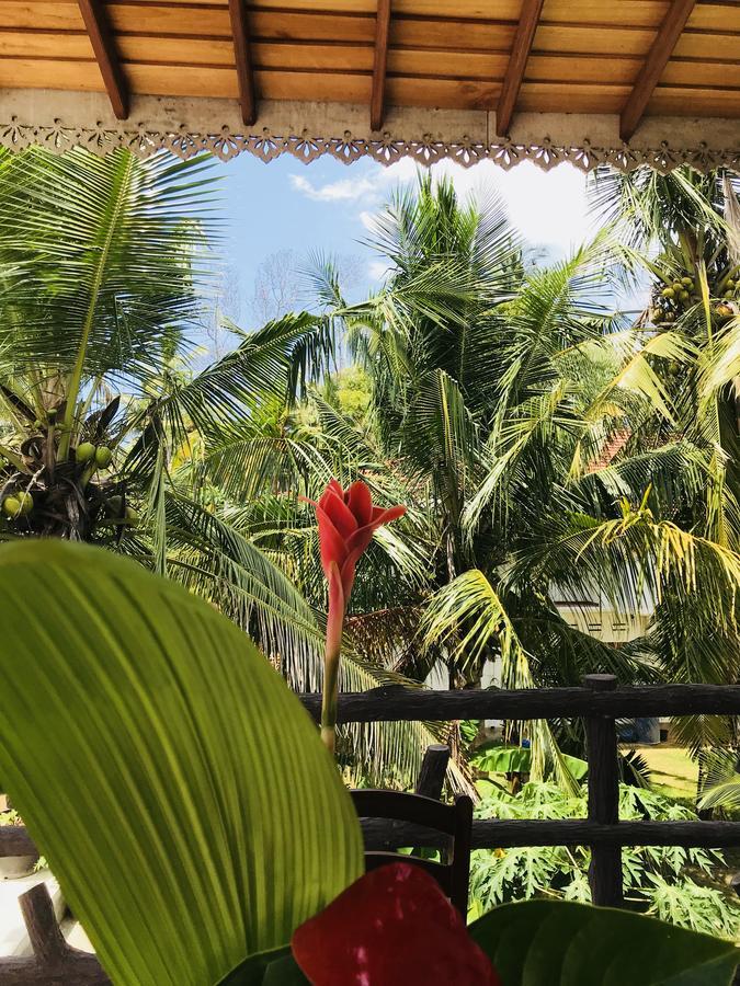 Neli Guests House Hotell Unawatuna Exteriör bild