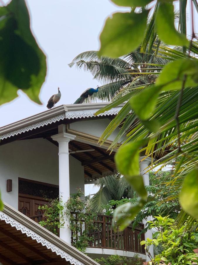 Neli Guests House Hotell Unawatuna Exteriör bild